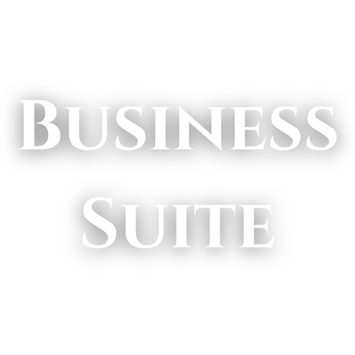 1586-business-suite-1764803386972.png