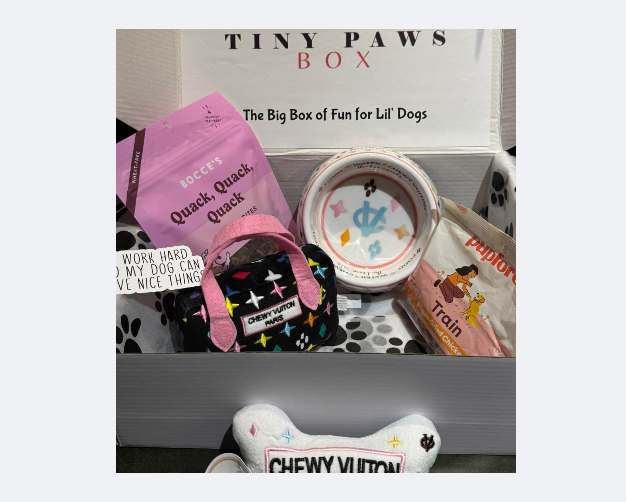 205062650248-chewy-vitton-box-cropped-17444998389479.png