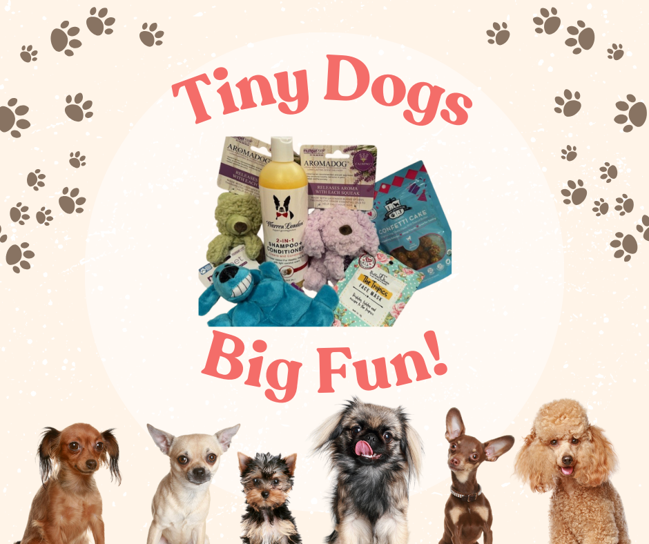26-tiny-dogs-big-fun-website-1746567097787.png