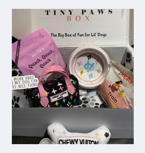 282047650253-chewy-vitton-box-cropped-1744498645728.png