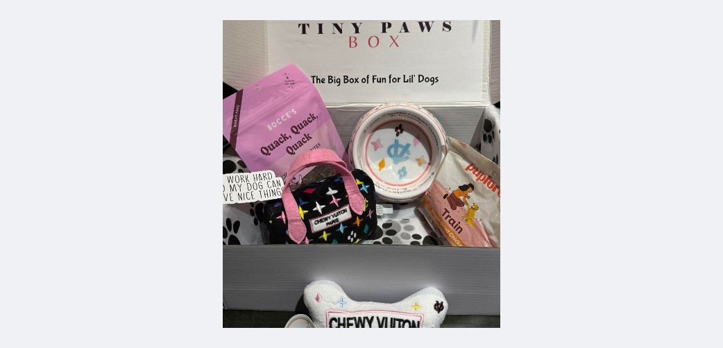 82-chewy-vitton-box-cropped-17446543376799.png