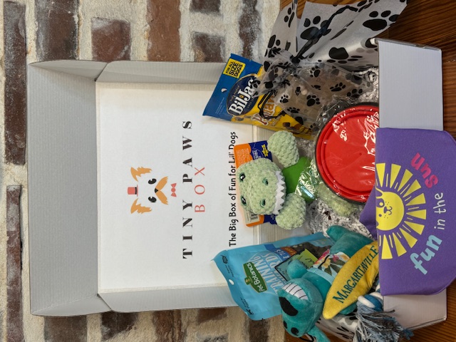 84-fun-in-the-sun-box-17445666669154.jpg