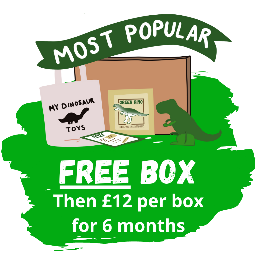 A 6 month dinosaur subscription box