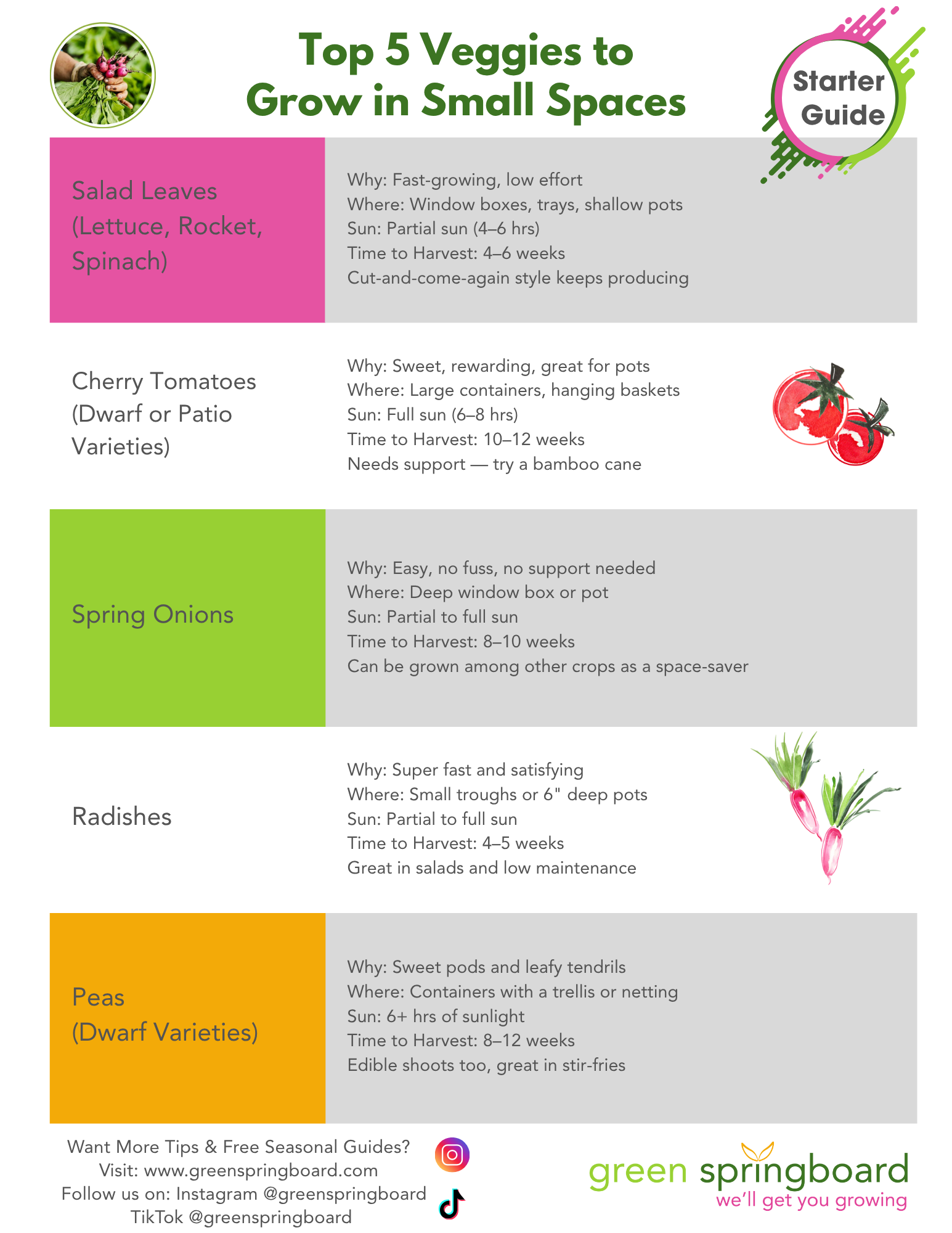 552-top-5-veggies-to-grow-in-small-spaces-17506085938561.png