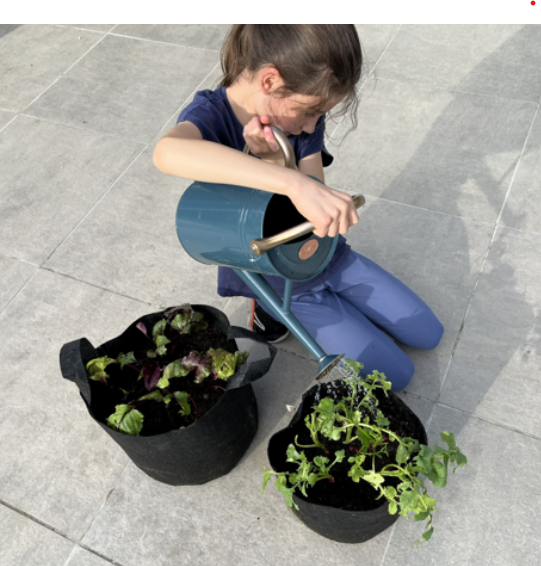 Why Gardening Matters for Children