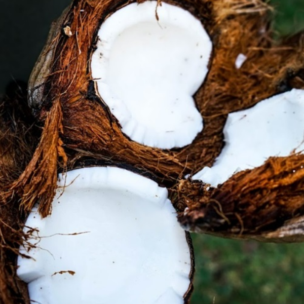 Coir compost and greener gardening