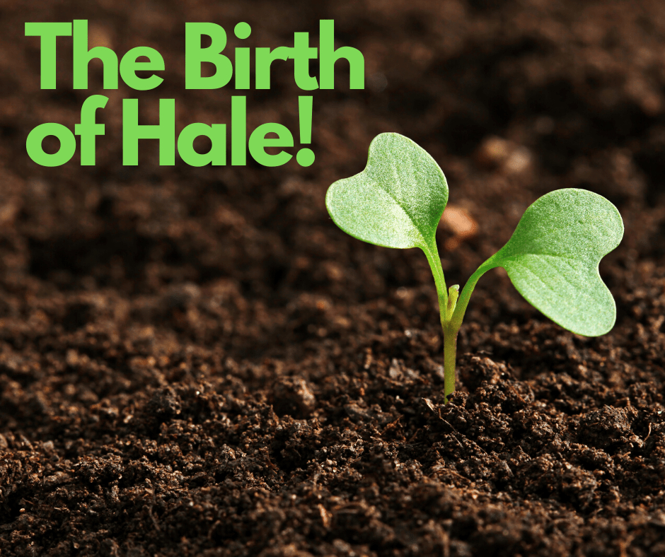 The Birth of Hale!