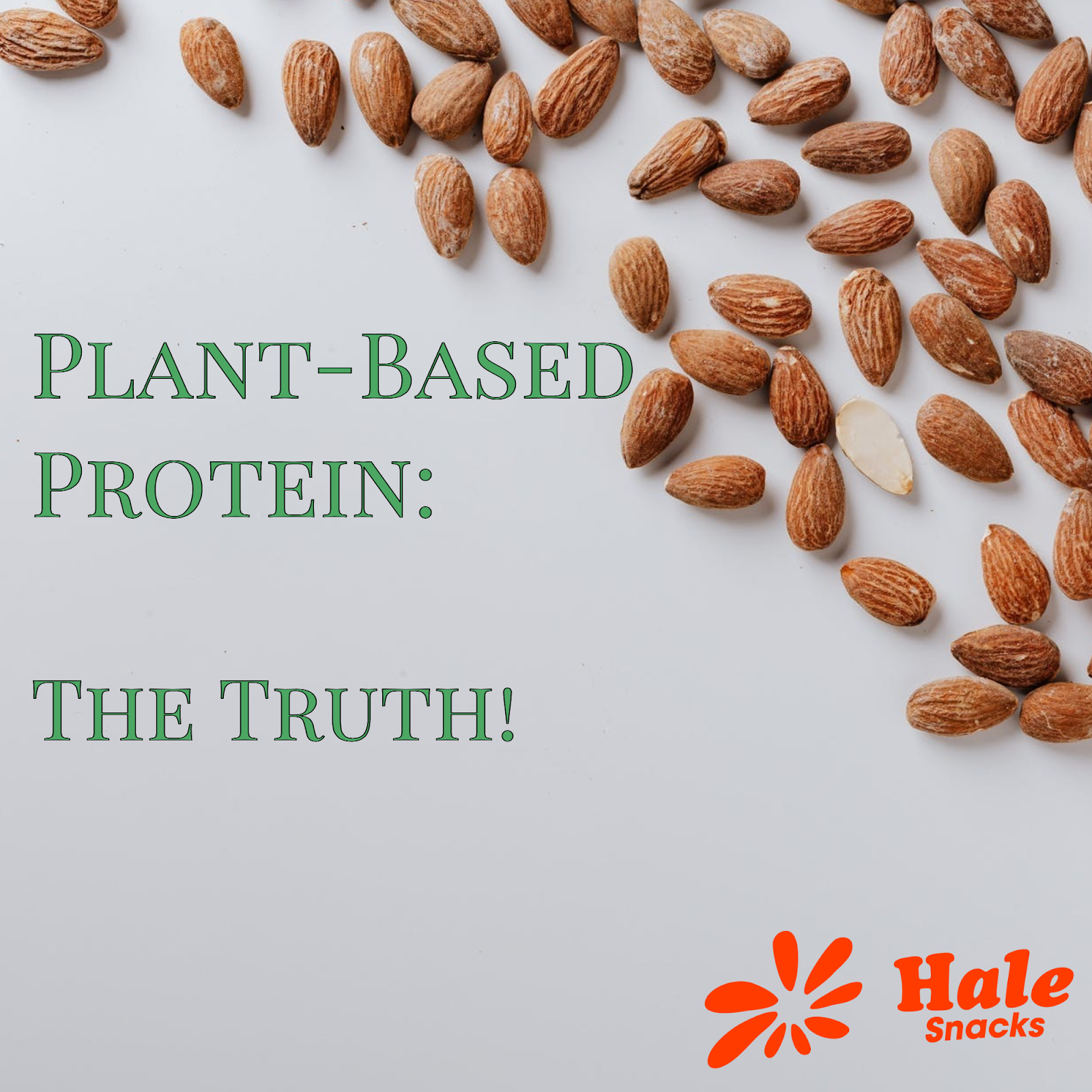 The Benefits of Plant Based Protein!