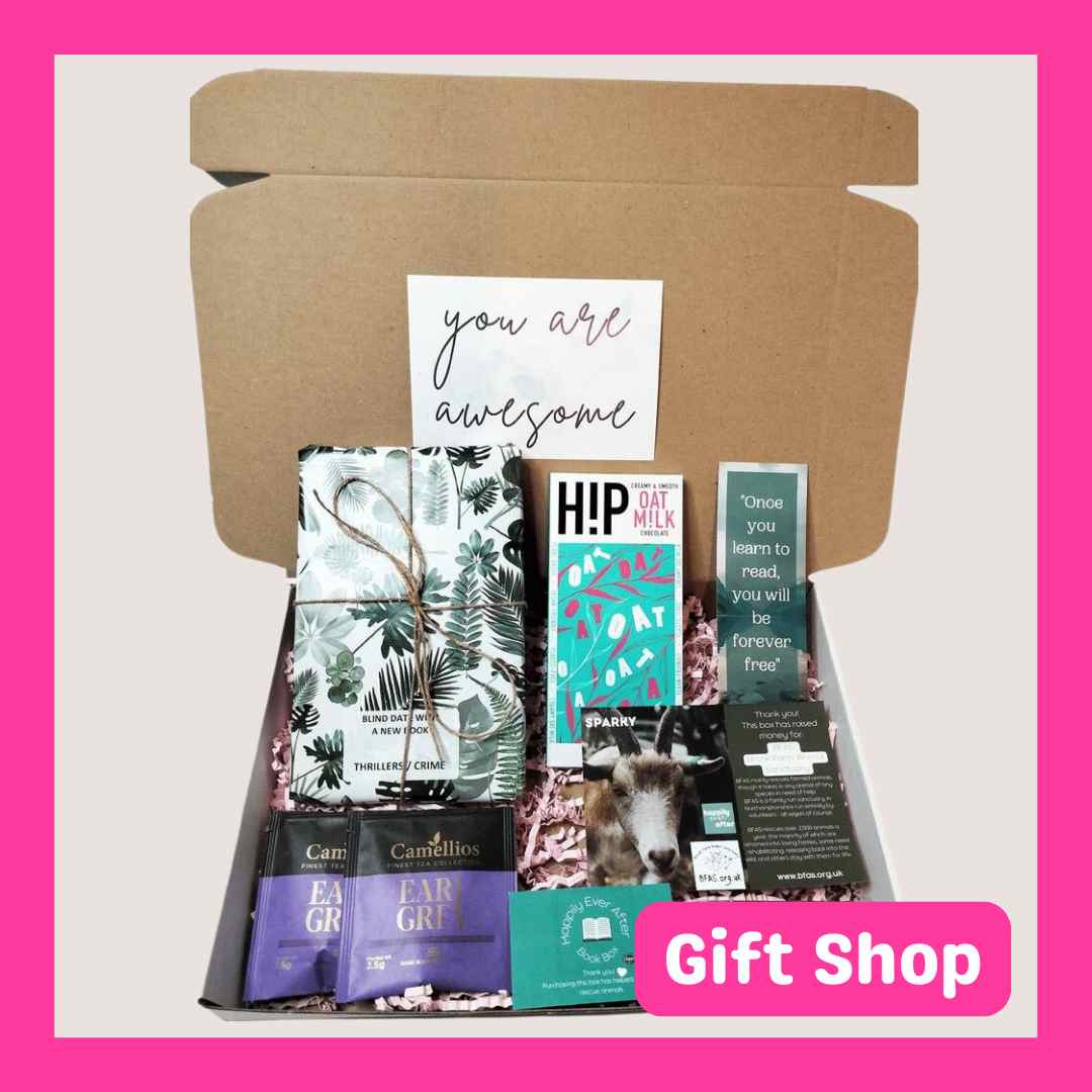 Book Box gift with a gift-wrapped book and vegan vegan treats