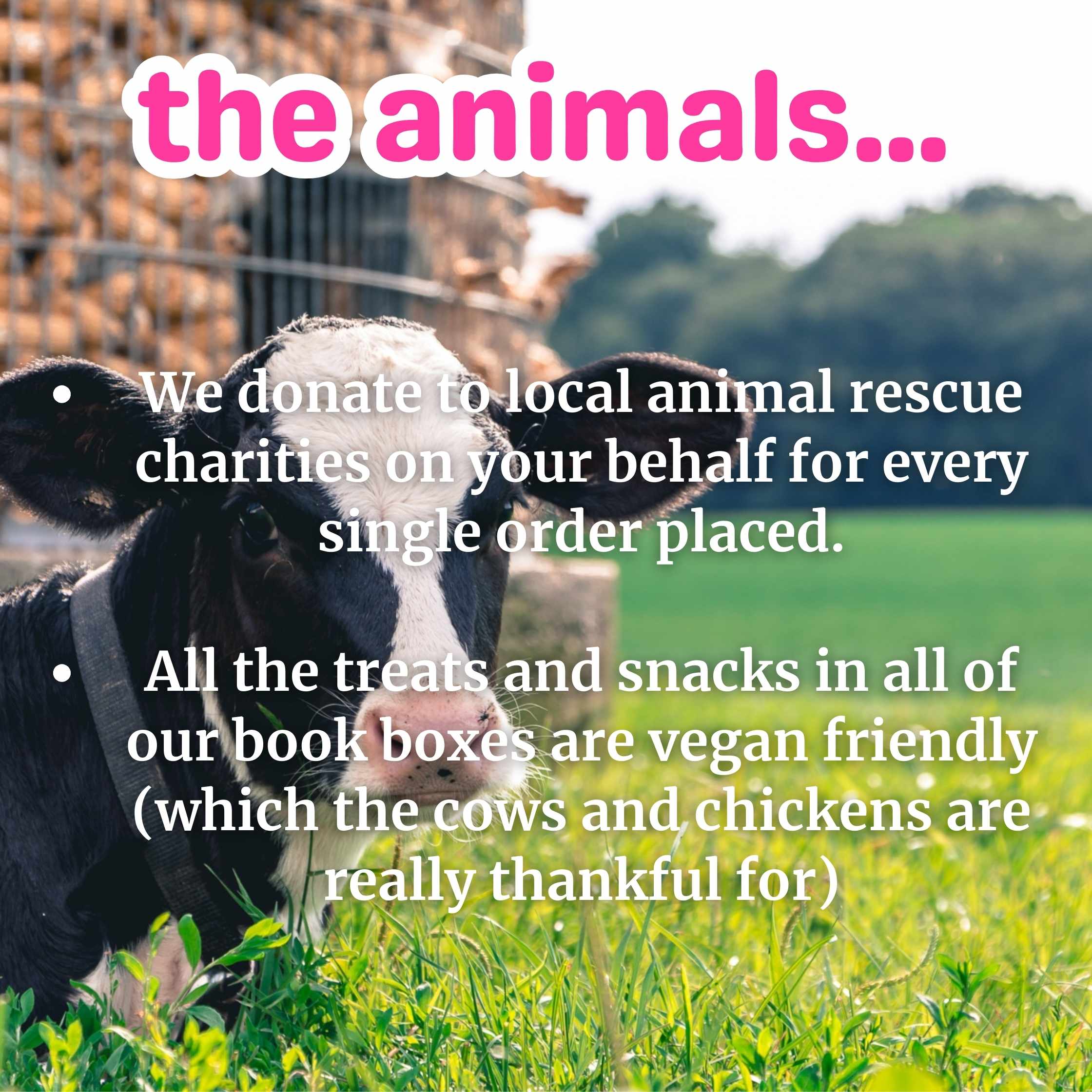 Vegan susbcription box that donates to animal rescue charities