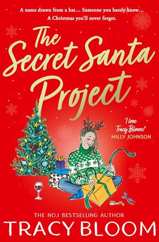 5091-the-secret-santa-project-17613087276994.jpg