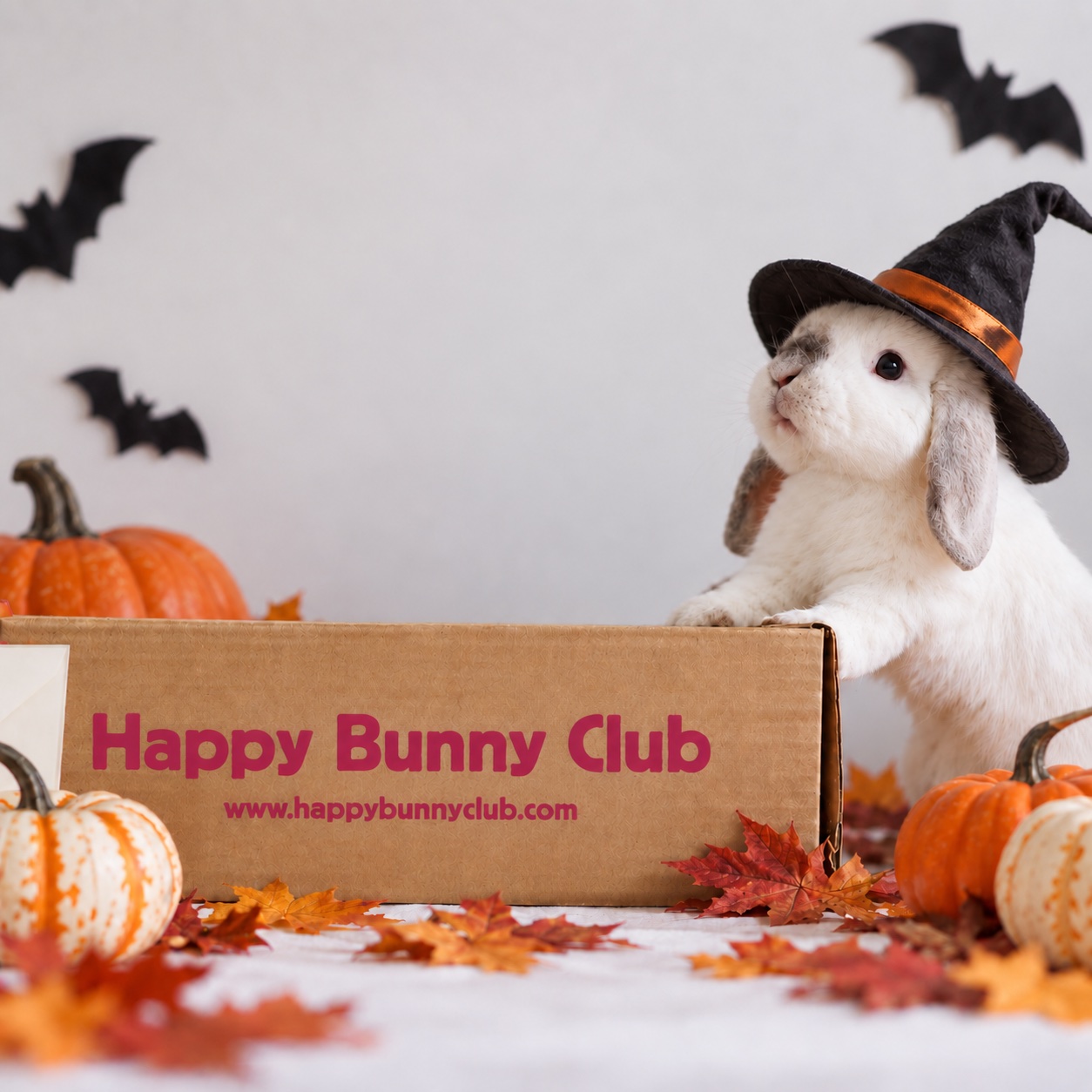 118-halloween-box-bunny-club-17906963548015.jpg