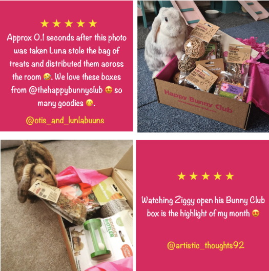 68-rabbit-subscription-box-of-toys-treats-gifts-happy-bunny-club-2025-05-20-01-17476842083809.png