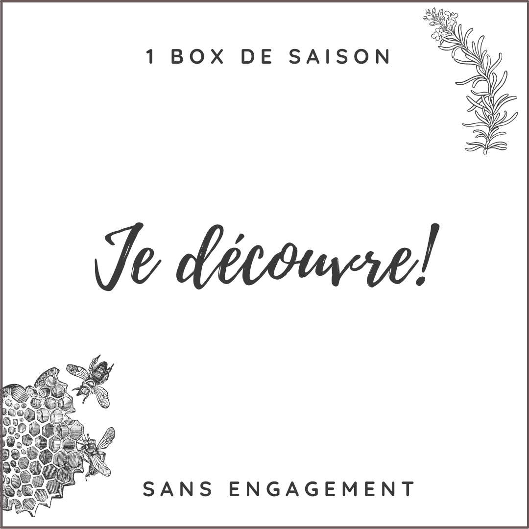 1028-formule-1-box.png