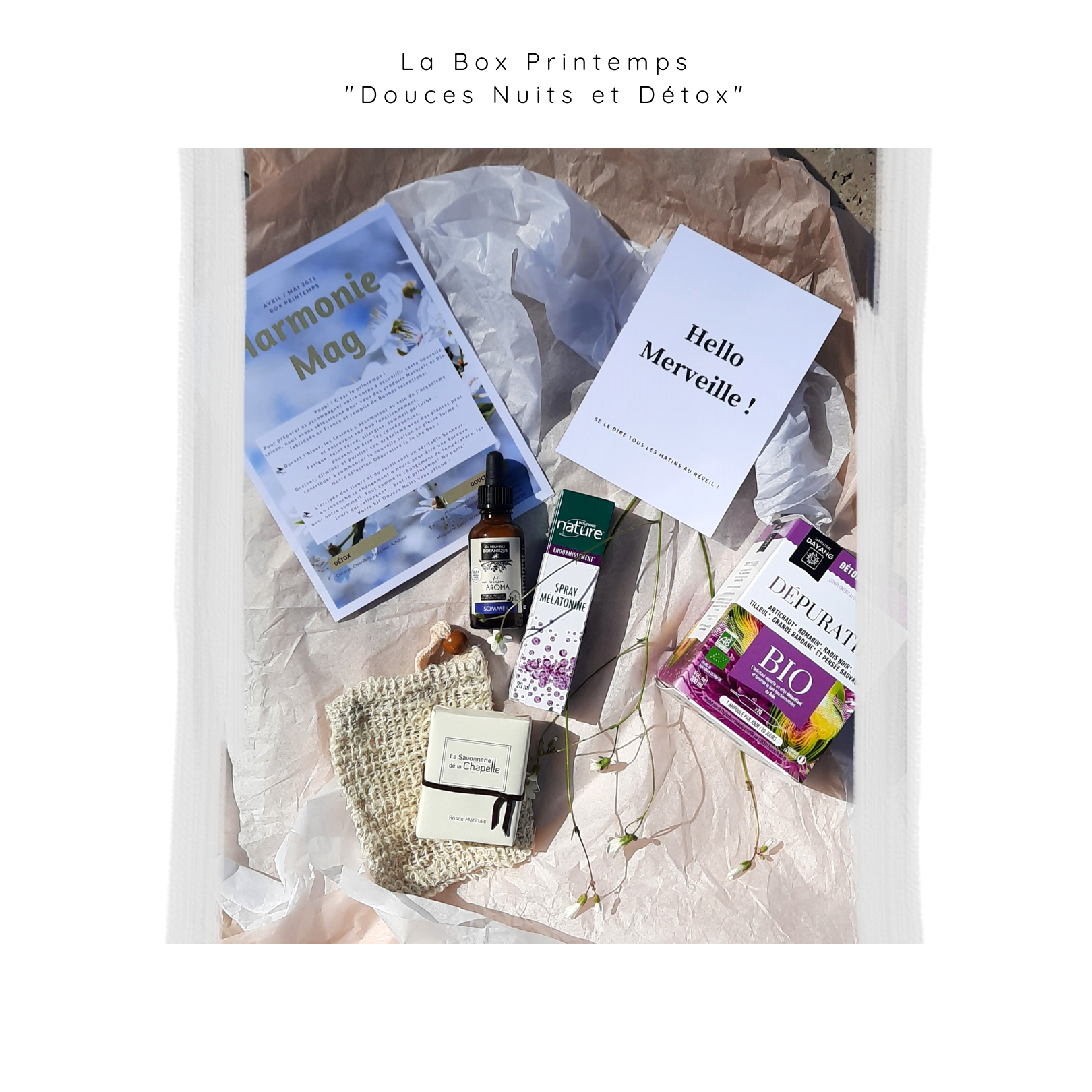 903-box-printemps-sans-adresse-web-16190158644292.png