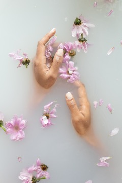 Hands in milky water with pink flowers