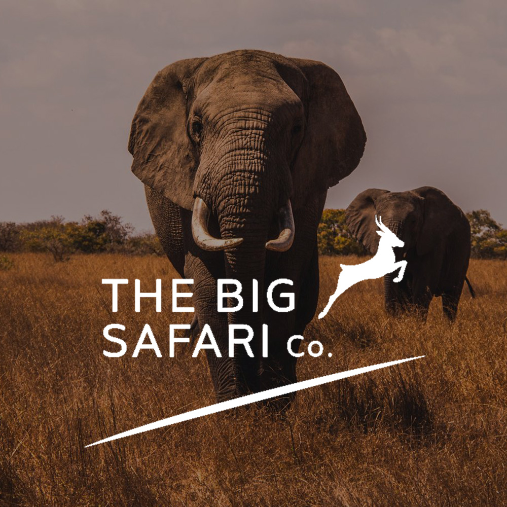 543-hb-founding-member-big-safari-company-logo-1000x1000-16152969652511.jpg