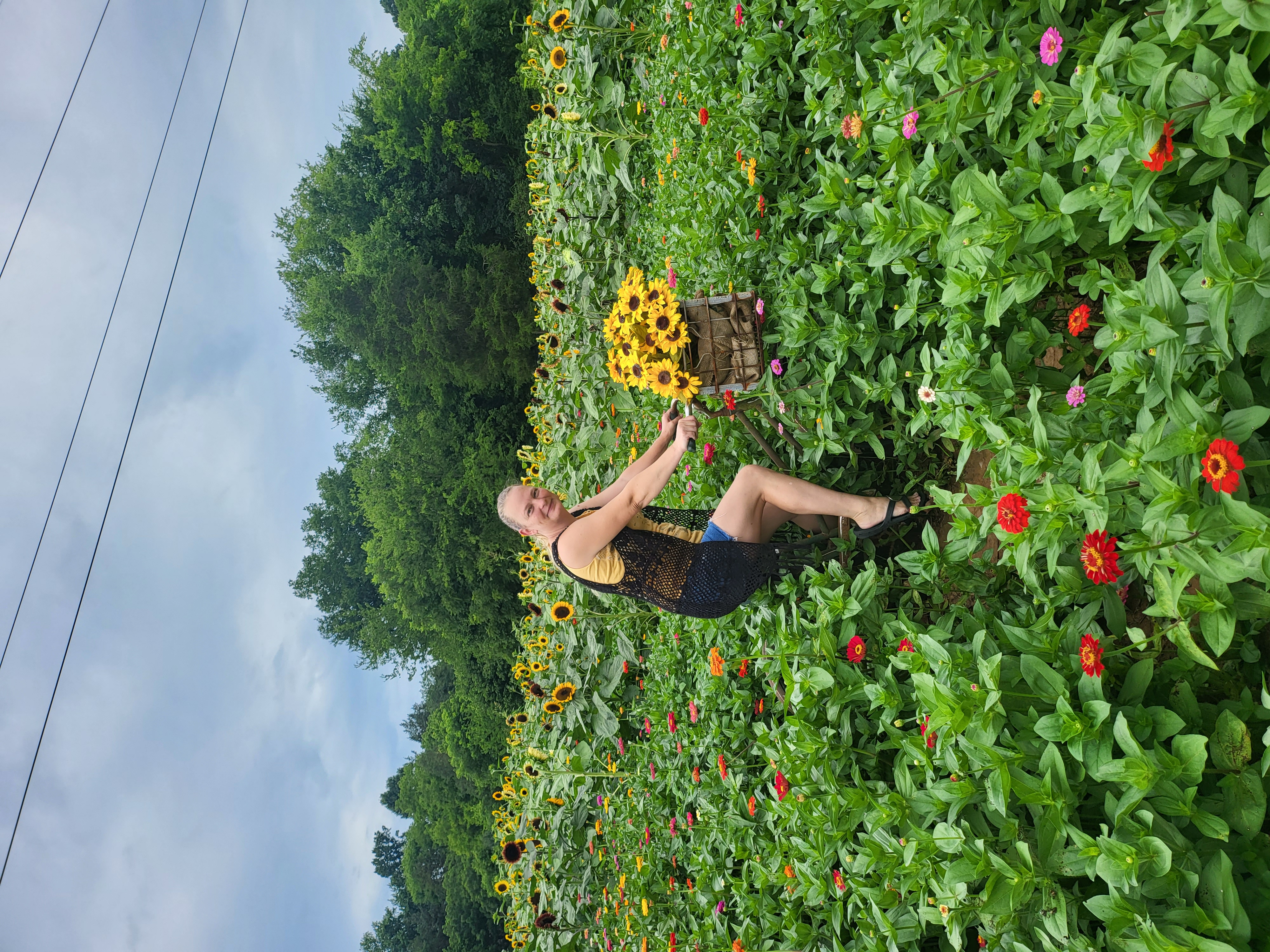 301-my-pic-sunflower-field-17205901804875.jpg