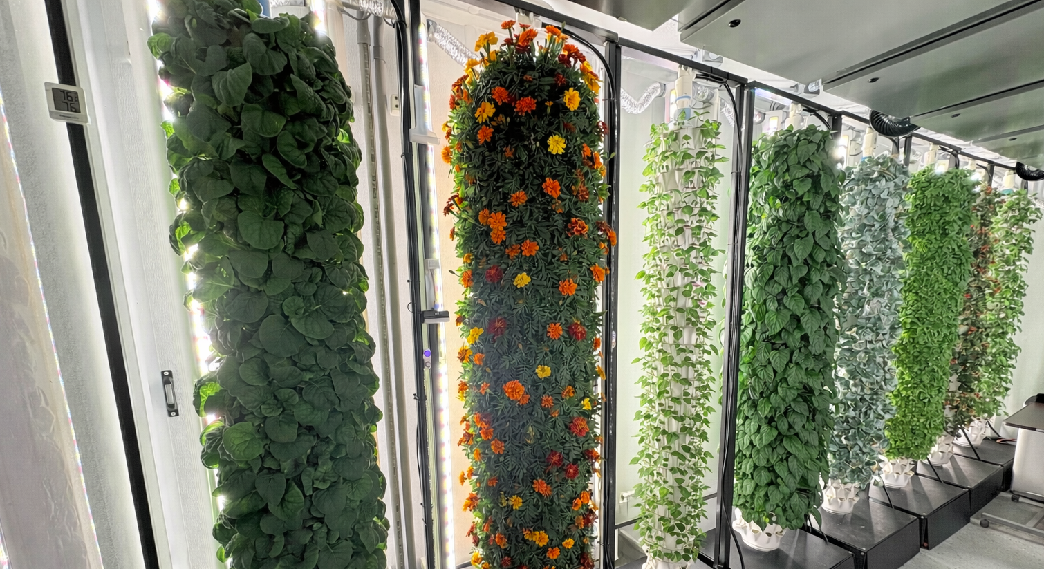 Self-Nurturing™ Seed Pods in 280-count trays for commercial growers