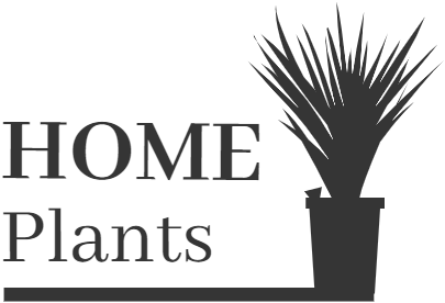Home Plants