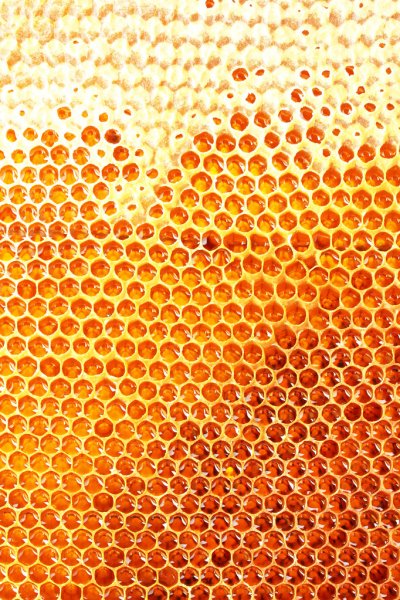r203-honeycombbg1-16940419455989.jpg