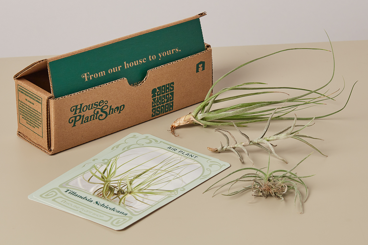 797-hpssub-boxairplant.jpg