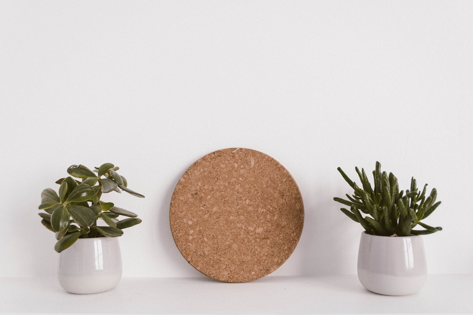 12 Houseplants for a Healthy Home
