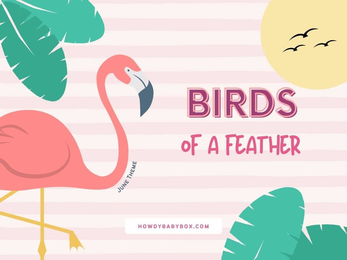 🦩 Birds Of A Feather 🦩 Theme - June 2024