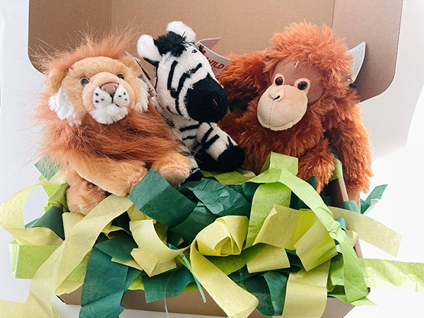 lion, zebra, and orangutan plushies featured in the jungle themed Howdy Baby newborn baby boxes