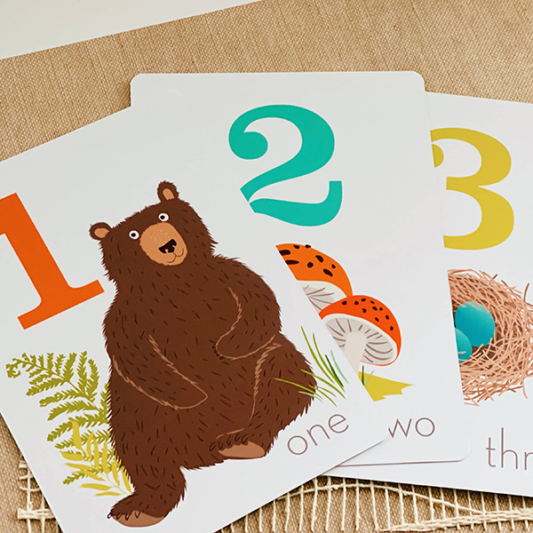 baby bear flash cards