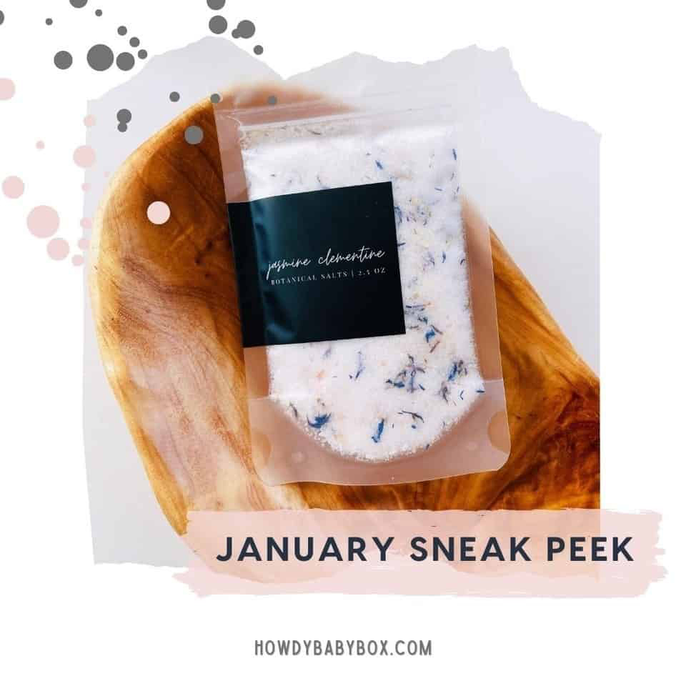 howdy baby january gift box sneak peek