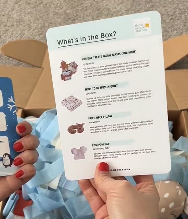 what's in the box card from the December 2023 Howdy Baby monthly subscription box