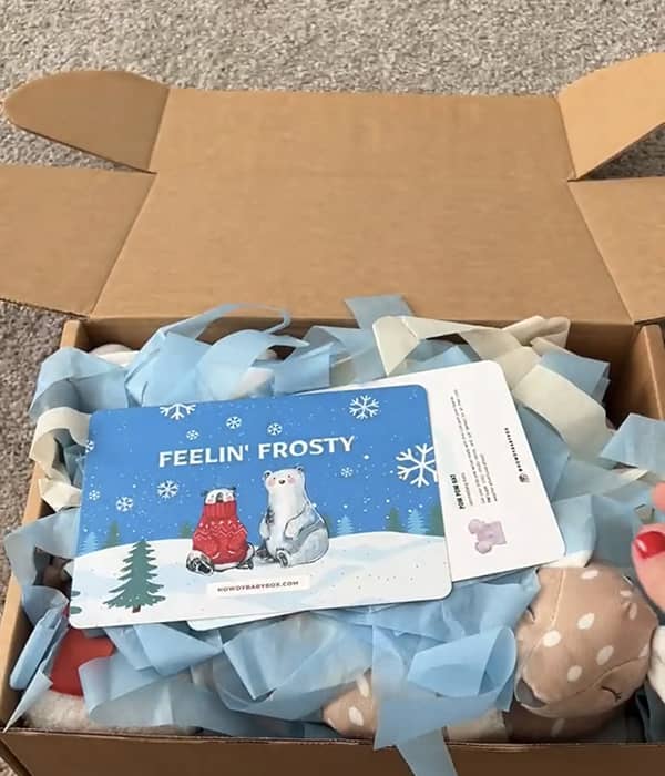 December 2023 Feeling Frosty Howdy Baby monthly subscription box