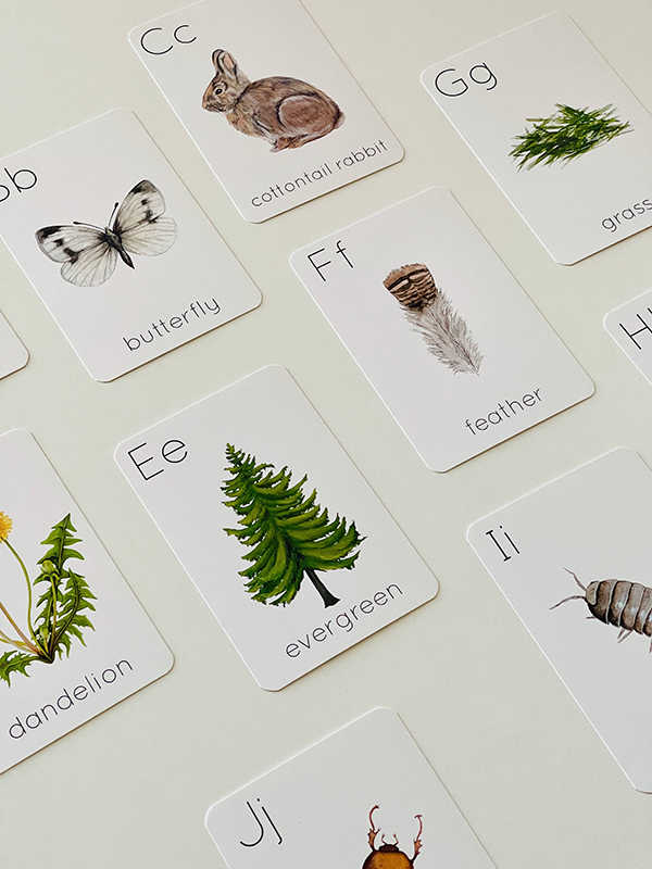 nature flash card set for babies, toddlers, and kids