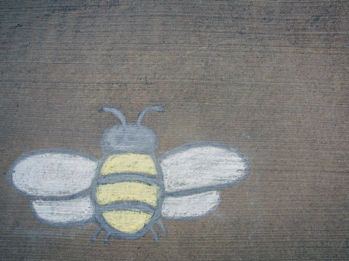 simple honey bee chalk art for beginners