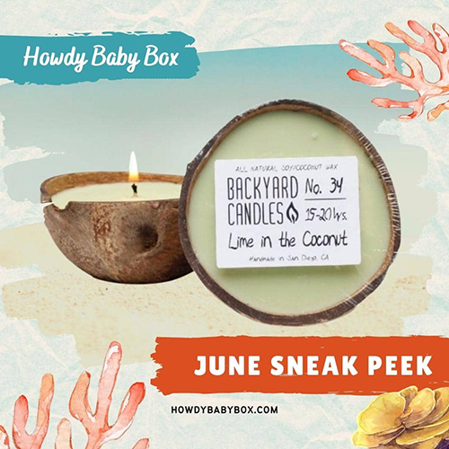 Howdy Baby children's subscription box first sneak peek for June 2022