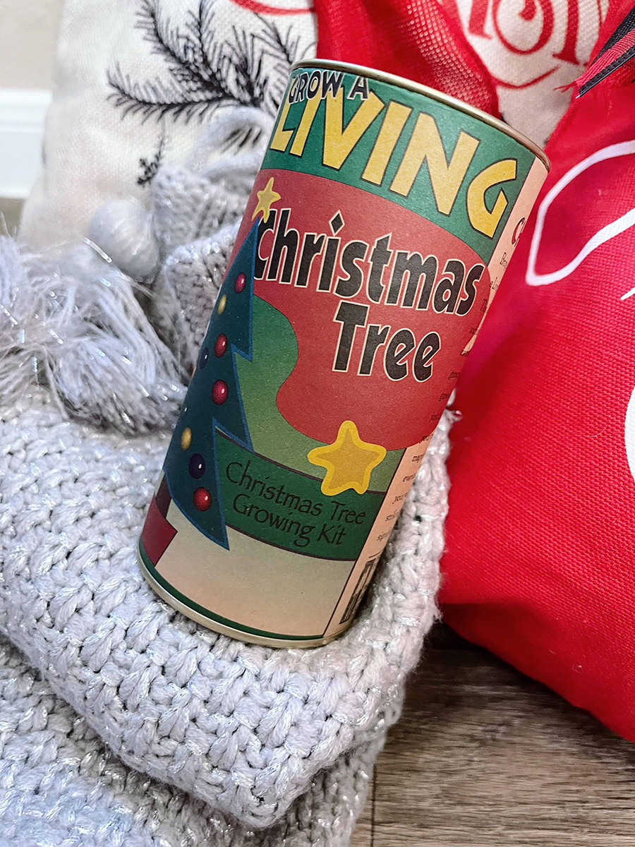 christmas tree grow kit