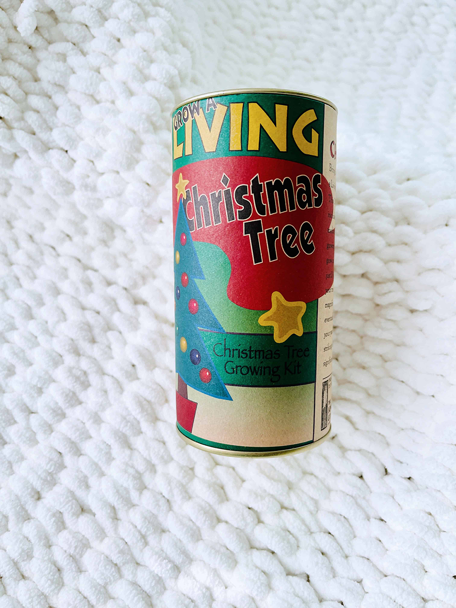 christmas tree grow kit gift for baby's 1st christmas