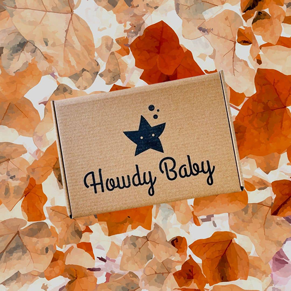 howdy baby family subscription box