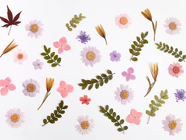 floral background