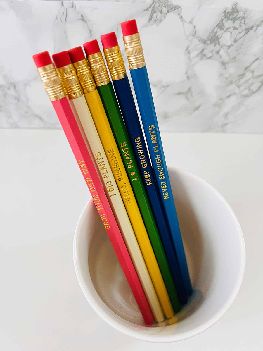 fun pencils from Howdy Baby monthly kids subscription