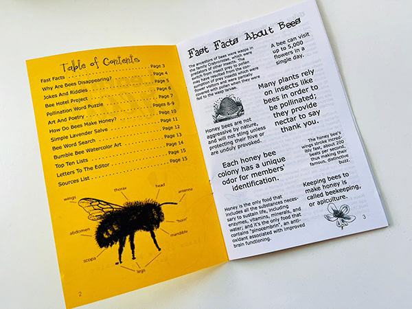 bee writing journal hands on learning activities for kids