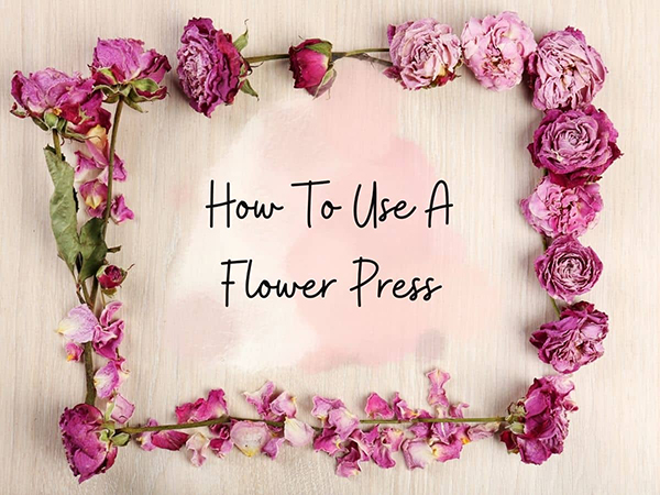 how to press flowers