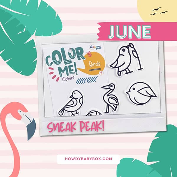 June 2024 Howdy Kids Box sneak peek color me bird sticker pack