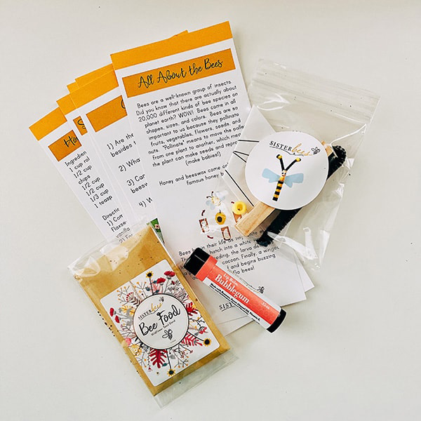 busy bee kit from kids monthly subscription box