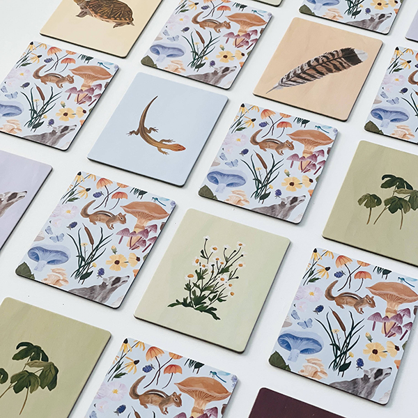 Flora Fauna memory game from the November 2023 Howdy Kids subscription boxes