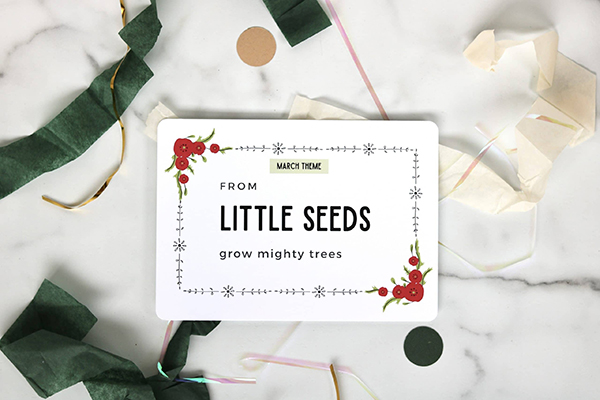 little seeds March 2022 Howdy Baby Box theme card