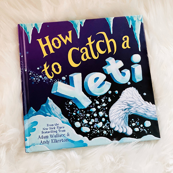 How To Catch A Yeti book from the December Howdy Baby mom to be box