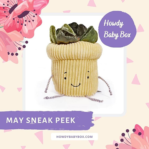 Howdy Baby mommy and me subscription box May 2022 sneak peek 2