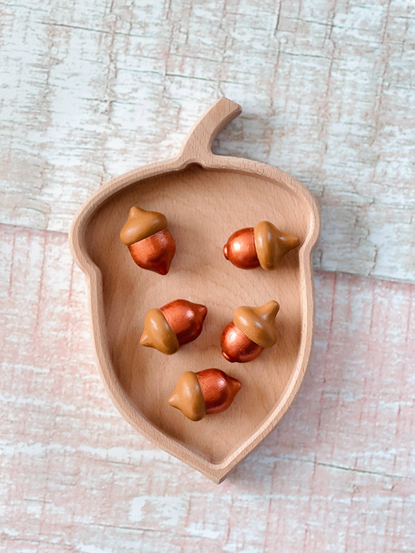 Montessori sorting tray with hand painted acorns